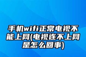 手机wifi已连接不可上网的原因及解决方法（解决手机wifi连接无法上网的问题）