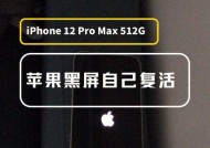 解决iPhone6内存满白苹果的问题（高效应对内存满导致的白苹果现象）